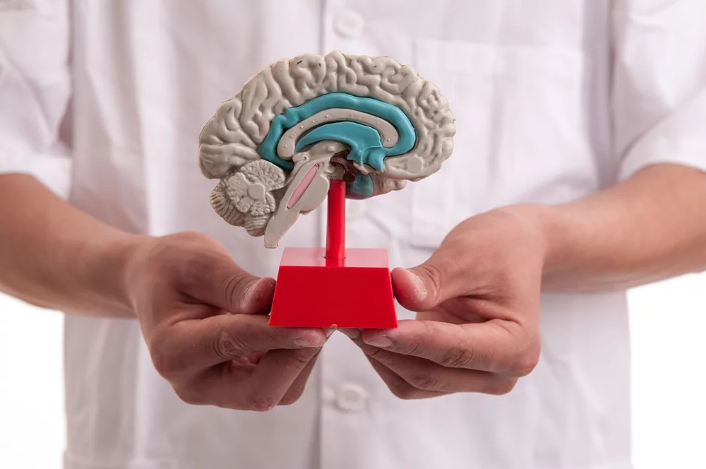 Hidrodinâmica Cerebral